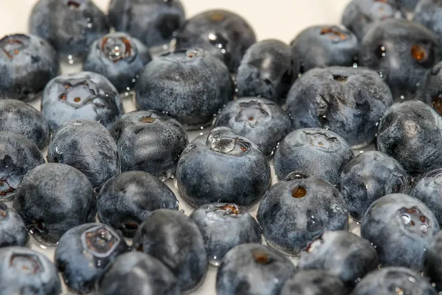 blueberry-1062705_1920