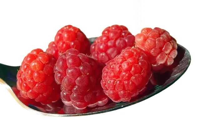 the-fruit-g91053d7c0_1920