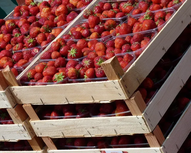strawberry-4046123_1920